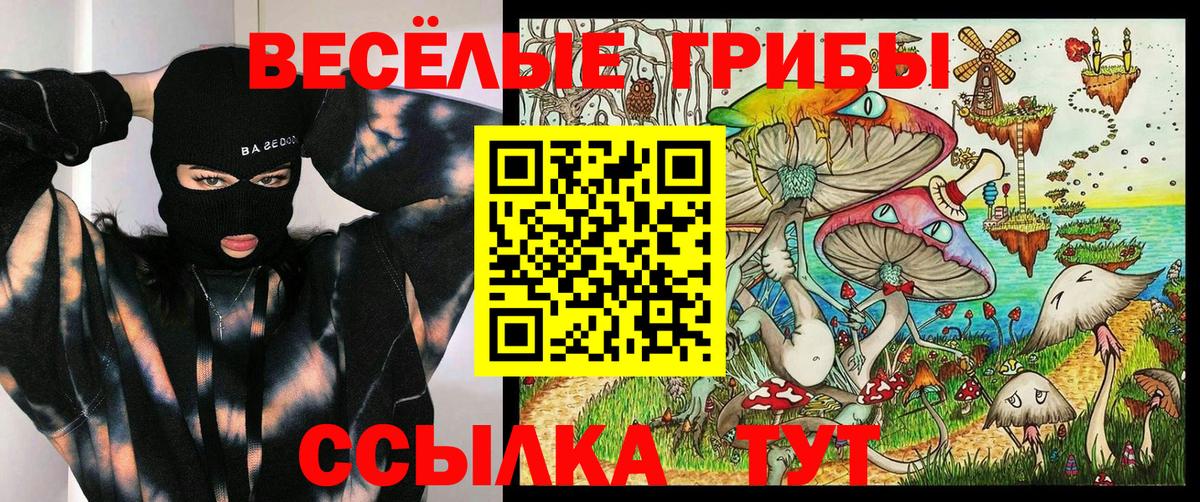 купить наркотики сайты  Псилоцибиновые грибы Magic Shrooms  Лыткарино  Вход с VPN  Галлюциногенные грибы прущие грибы 